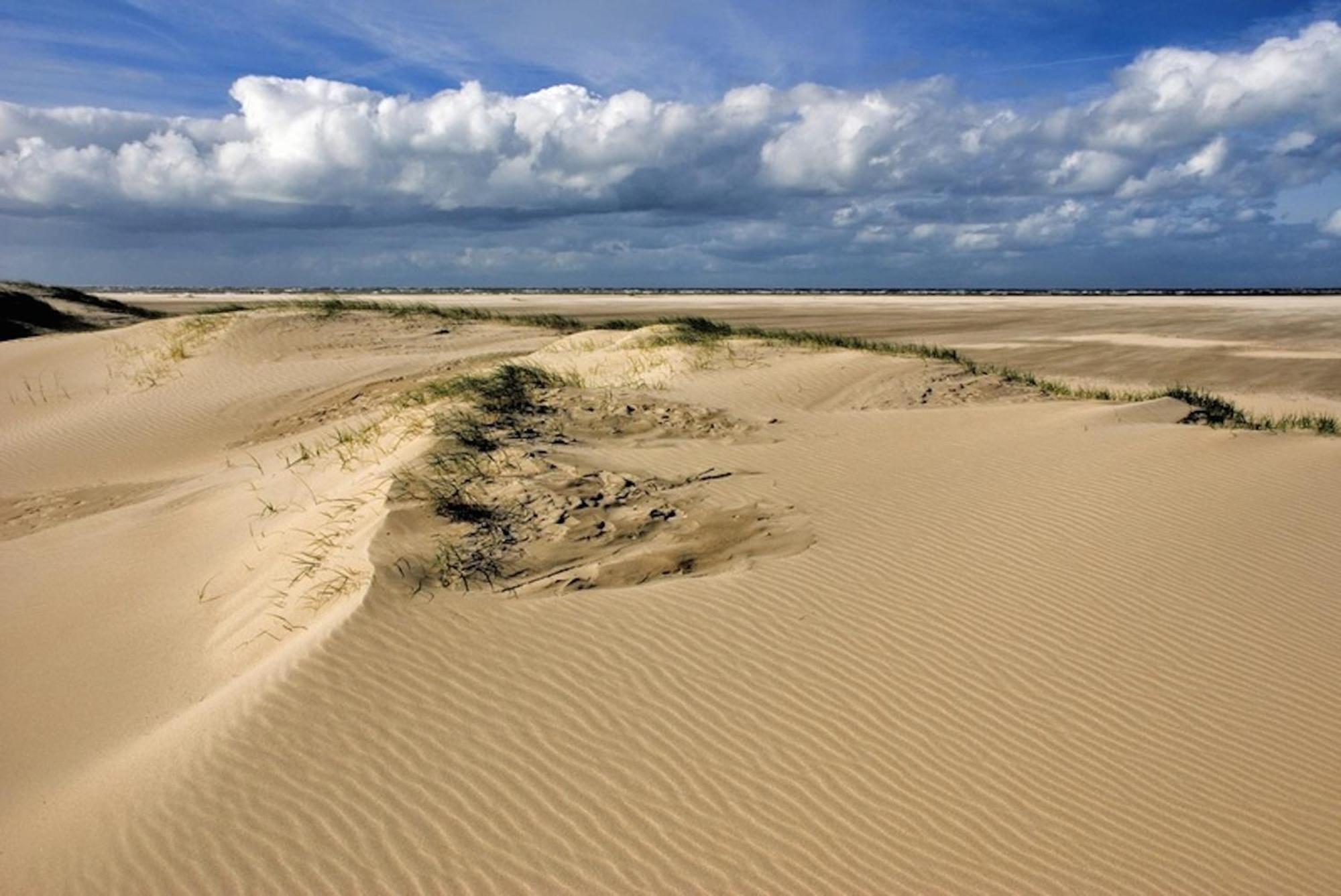 Ara Dune Hotel De Panne Esterno foto